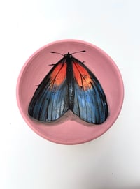 Image 2 of Moth 15, diameter 9 cm