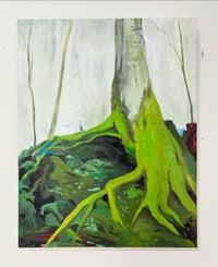 Image 5 of Moss 