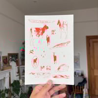 animals, fluo red/birch