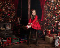 Image 1 of CHRISTMAS MINI'S {DEPOSIT ONLY }   LIVINGROOM