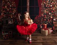 Image 3 of CHRISTMAS MINI'S {DEPOSIT ONLY }   LIVINGROOM