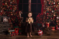 Image 4 of CHRISTMAS MINI'S {DEPOSIT ONLY }   LIVINGROOM