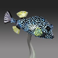 Image 2 of Smooth Trunkfish