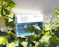 Image 3 of Music for CCT Hold Music