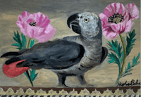 Image 2 of Parrot and Poppies by Raphael Balme