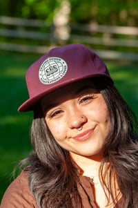 Image 8 of Globe 5-Panel Snapback (5 Color Options)