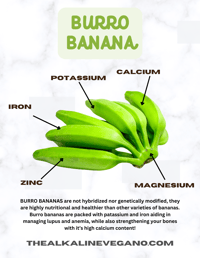 Image 2 of BURRO BANANA (4 LB)