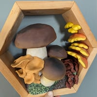 Large Hexagon, Edible Mushrooms 