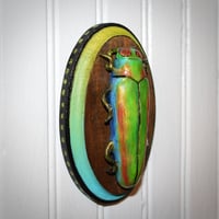 Image 1 of Beetle Wood Plaque