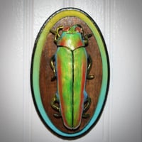Image 2 of Beetle Wood Plaque