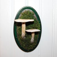 Image 3 of Mushroom Wood Plaque