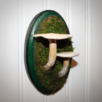 Image 1 of Mushroom Wood Plaque
