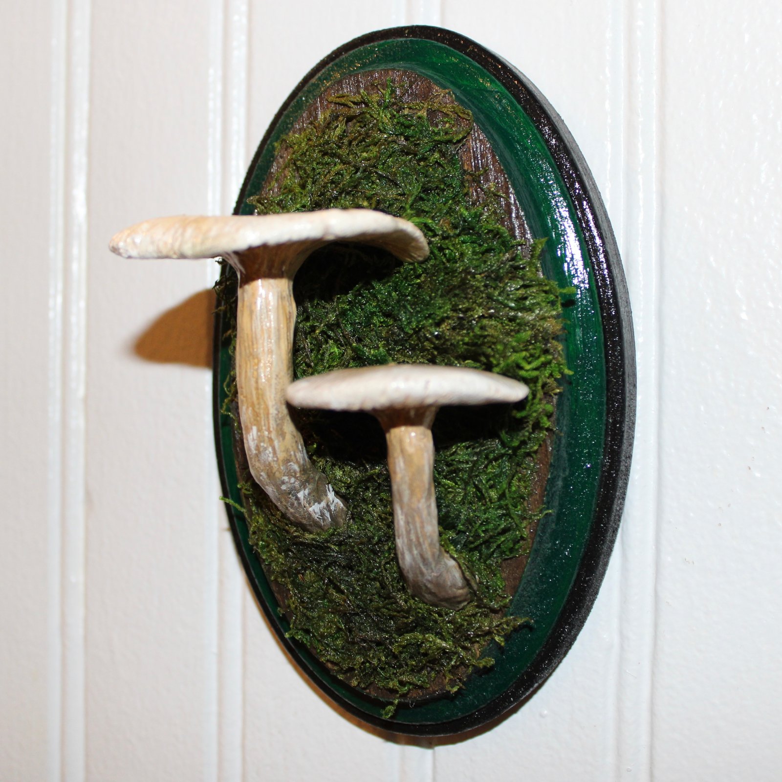 Rainbow Mushrooms top Clay Sculpted on a Wood Plaque