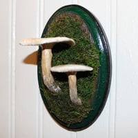 Image 2 of Mushroom Wood Plaque