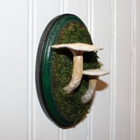 Image 4 of Mushroom Wood Plaque