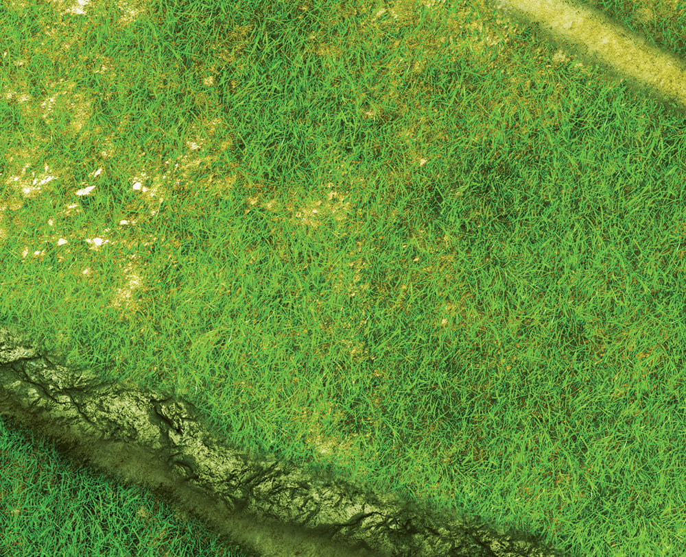 Image of Rice Paddy -- #2390 -- 6'x4' plus