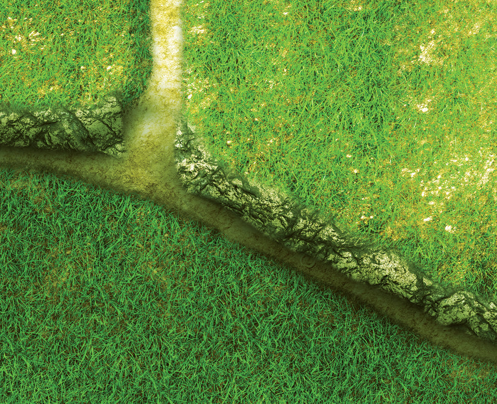 Image of Rice Paddy -- #2390 -- 6'x4' plus