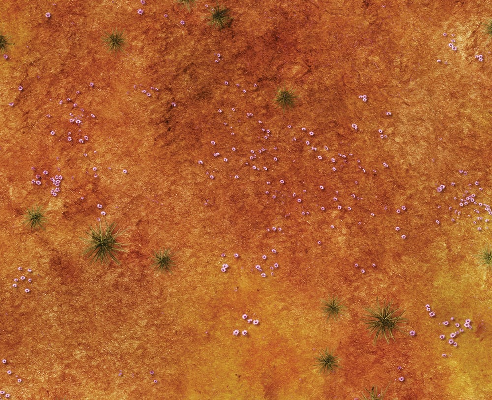 Image of Australian Desert -- #2400 -- 6'x4' plus