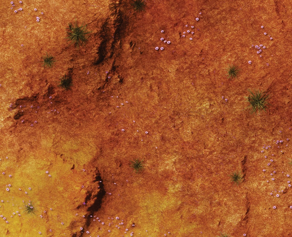 Image of Australian Desert -- #2400 -- 6'x4' plus