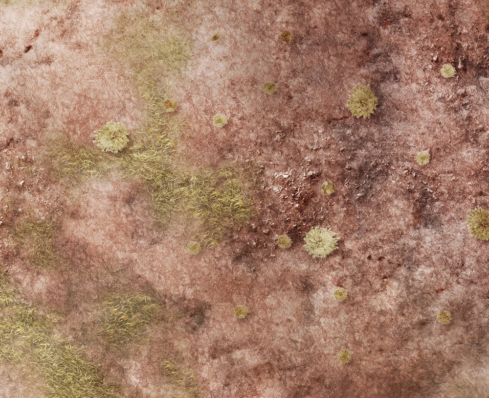 Image of Southwest Wastes -- #2410 -- 6'x4' plus