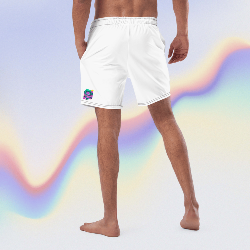 Void Summer Swim Trunks