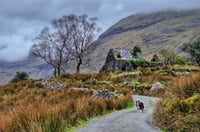 Image 2 of Molly's Cottage Triptych *12.5% OFF!*