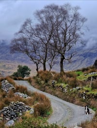 Image 1 of Molly's Cottage Triptych *12.5% OFF!*