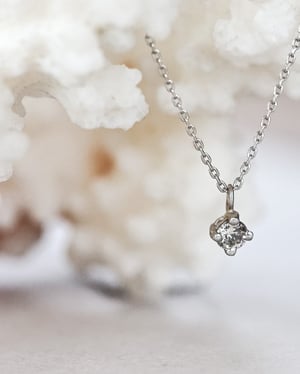 Image of Platinum, pale grey salt and pepper diamond necklace