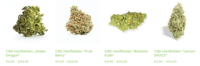 Was sind CBD-Blueten und wie werden sie verwendet?