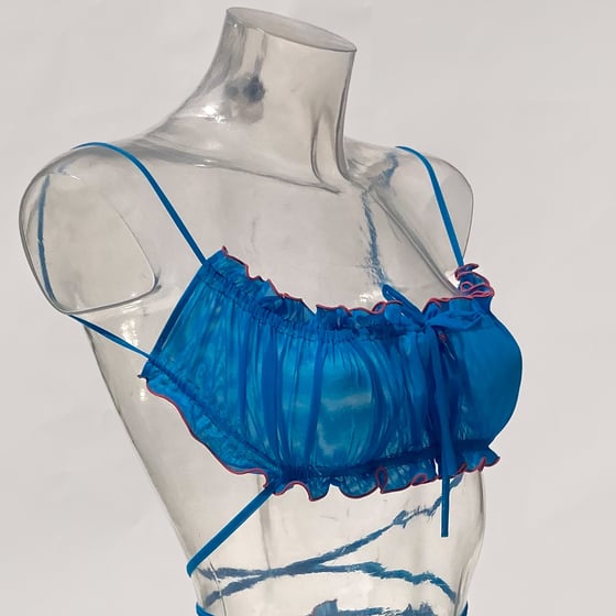 Image of RADICCHIO BRA 