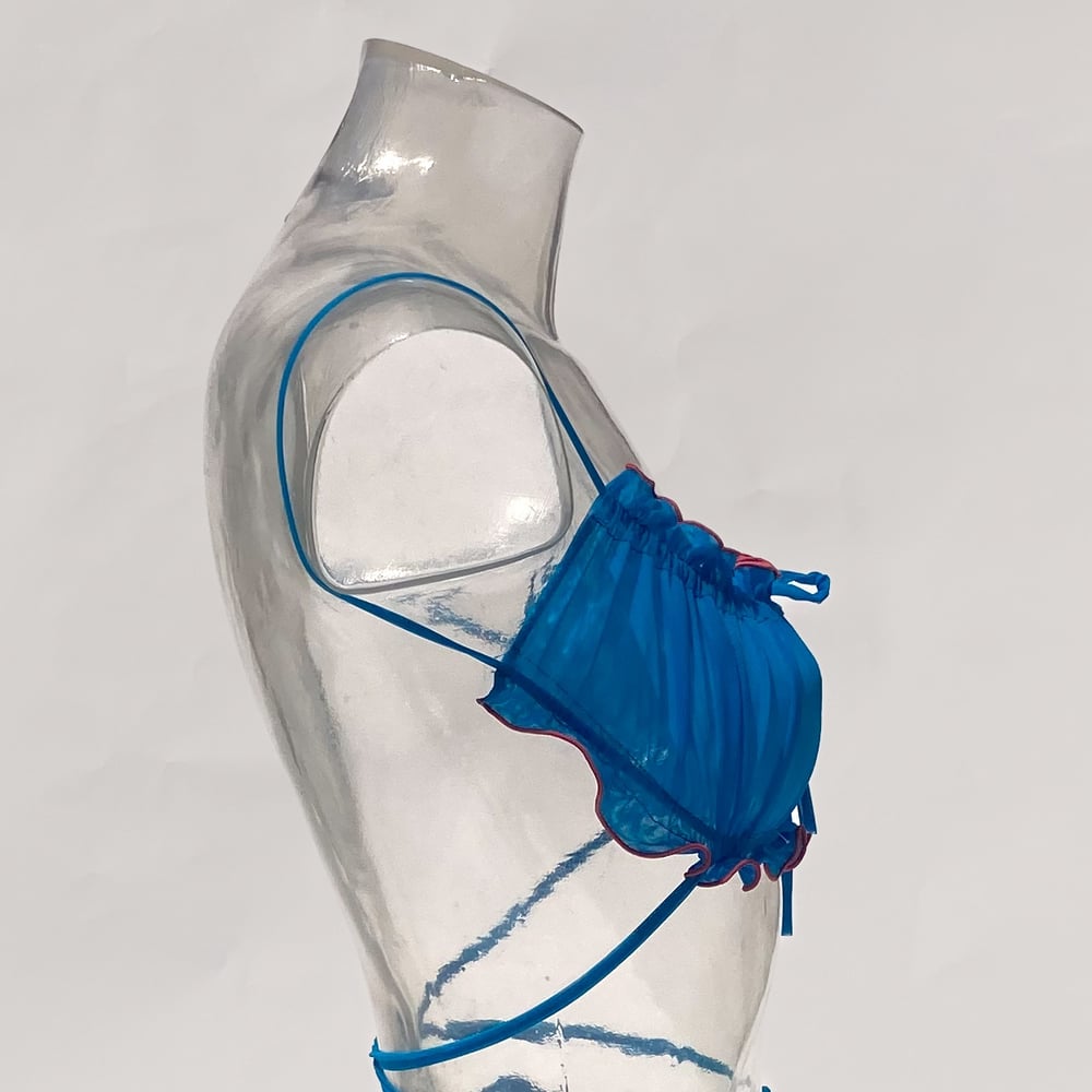 Image of RADICCHIO BRA 