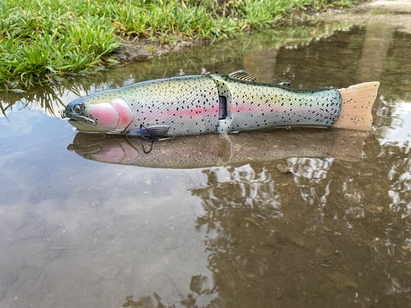 Image of 11” Cali Girl (Classic Rainbow)