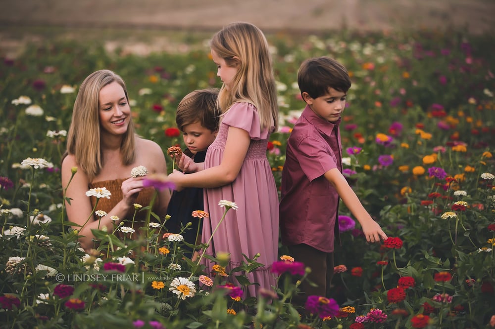 Image of Fall Family Zinnia Flower Minis in Milton, FL