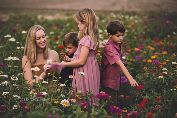 Image of Fall Family Zinnia Flower Minis in Milton, FL
