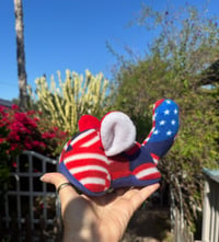 Limited Edition Patriotic Chinnie Buddie