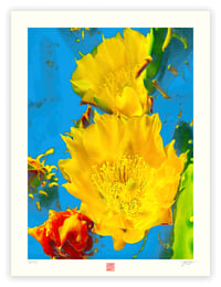 Image 1 of YELLOW CACTUS FLOWER (24X18)