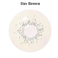 Image 2 of Gemini Brown Contact Lens