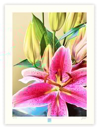 Image 1 of STARGAZER (24X18)