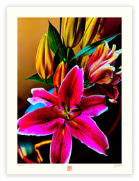 Image 1 of A SERIOUS  STARGAZER (24X18)