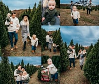 Image 2 of 11/9 Christmas Tree Farm Mini Sessions