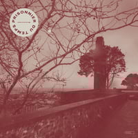 Image 1 of PRISONNIER DU TEMPS - 'Comme Un Lion En Cage' 12" LP