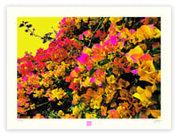Image 1 of AUTUMN BOUNTY(18X24)