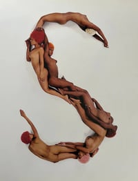 Image 5 of Vanessa Beecroft - VBLV