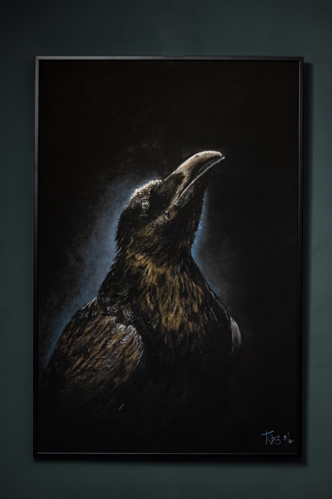 Image of ART PRINT "Corvus" 