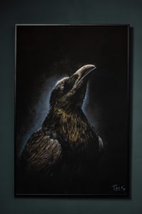 Image 1 of ART PRINT "Corvus"