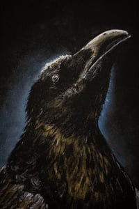 Image 4 of FINE ART PRINT "Corvus" 