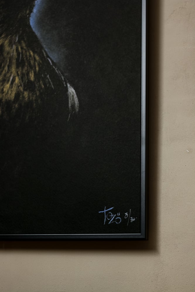 Image of ART PRINT "Corvus" 