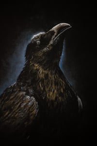 Image 2 of FINE ART PRINT "Corvus" 