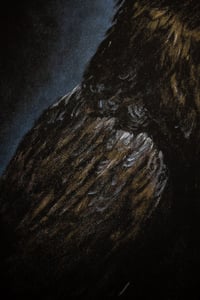 Image 3 of ART PRINT "Corvus"