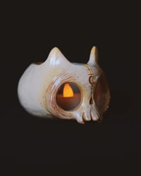 Image 1 of Bone Cat skull 